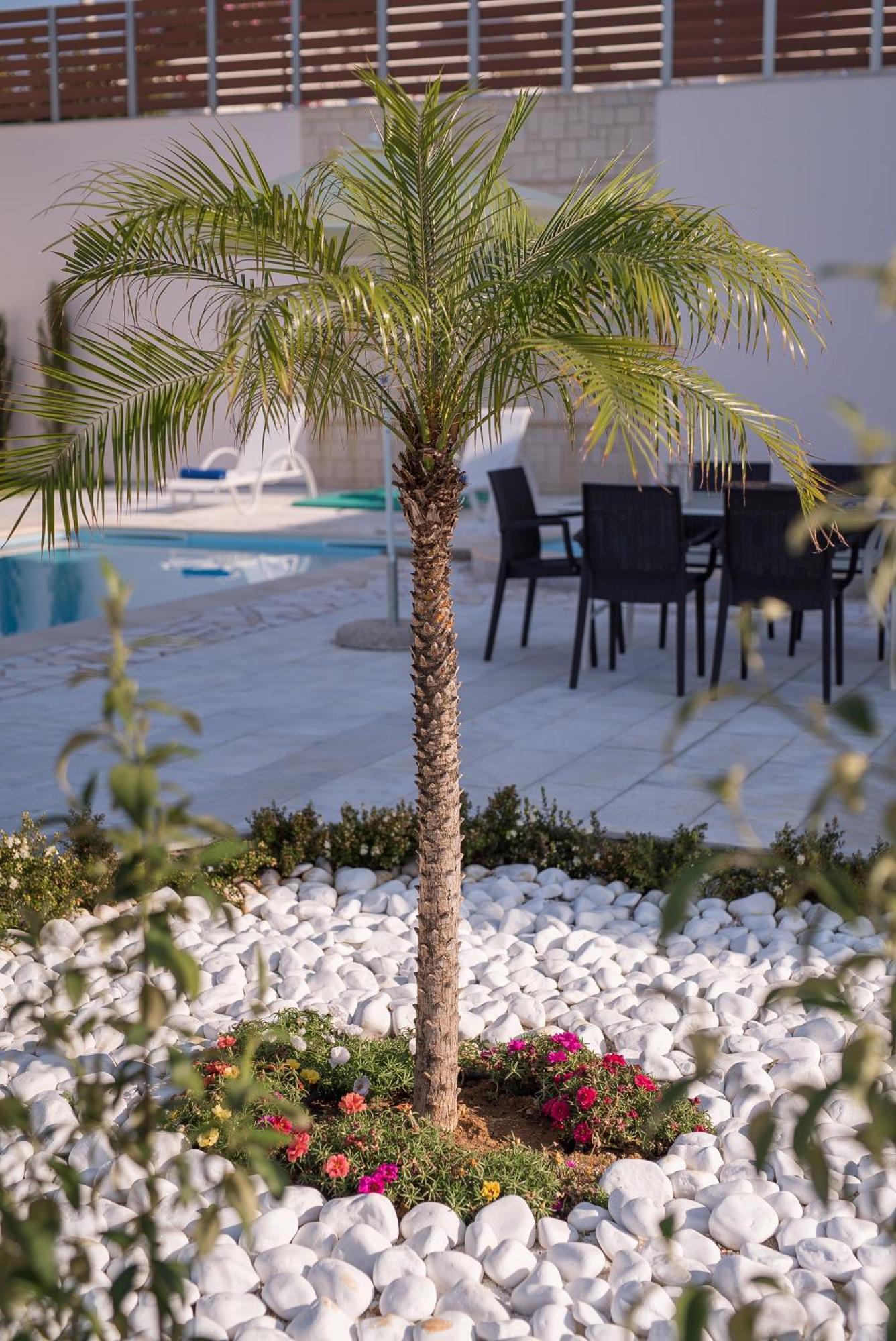 Koukos Villas Сталос Номер фото